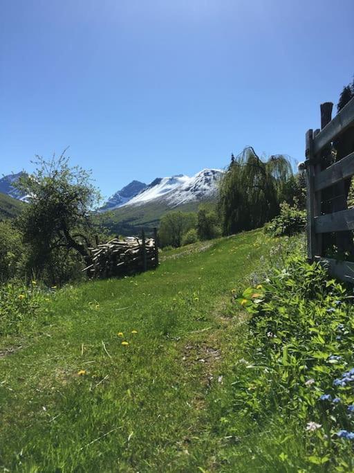 Moonvalley Lodge - Stort & Koselig Hus - Mandalen Екстер'єр фото